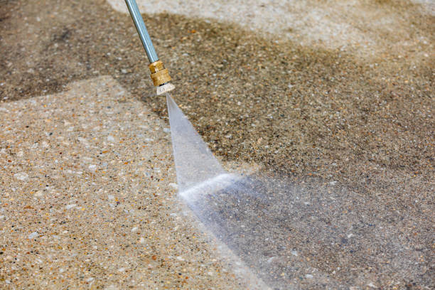 Best Dumpster Area Cleaning  in Downs, IL