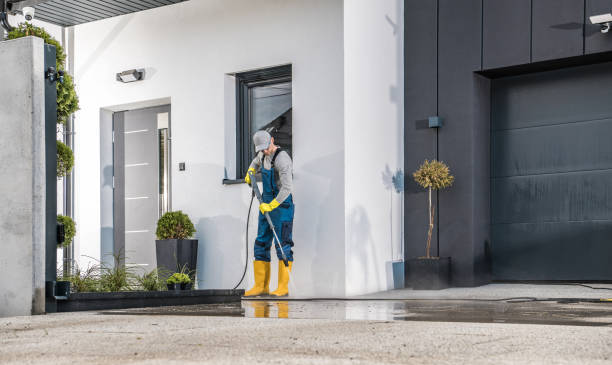 Best Winterizing Services  in Downs, IL