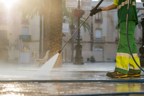 Best Spring Cleaning  in Downs, IL